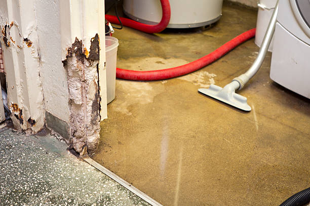 emergency basement leak repair company Cornelius, NC